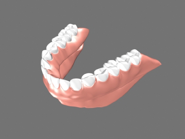 3d이빨소스, 3d치아소스,3d잇몸소스,3d의치소스,3d털니소스,3d인플란트, 3d max 모델링 소스