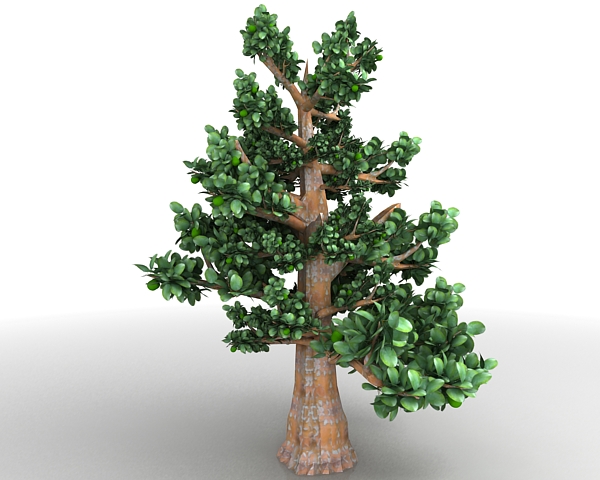Quince tree, 3d모과나무, 3d모델링소스